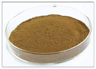 Oleuropein 20% Nhà máy chiết xuất bột màu nâu chiết xuất lá ôliu