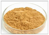 Bột Dandelion Brown Extract, 80 Mesh Dandelion Root Supplement