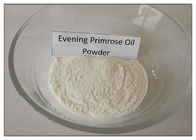 Omega 6 Evening Primrose Powder Từ Dầu, Evening Primrose Supplement 40 Mesh