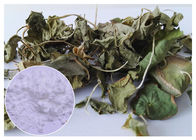 Chiết xuất lá Gotu Kola Chiết xuất Centella Asiatica Chống oxi hóa