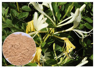 Chất chống vi khuẩn Chlorogenic acid 5% bột hoa kim ngân hoa