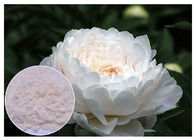 Đổi mới các thành phần mỹ phẩm tự nhiên trên da Trắng Trắng Paeonia Lactiflora Powder