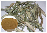 Hydroxytyrosol 20% Tinh chất Dầu ô liu Olive Leaf Extract, Bột lá Ôliu CAS 32619 42 4