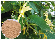 Chiết xuất hoa Chiết xuất Chứng viêm Chống Viêm, 5% Chlorogenic Acid Lonicera Japonica Extract