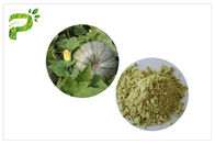 Nguồn thực vật Bổ sung chế độ ăn uống tự nhiên Bột hạt bí ngô Protein Protein 50% 60%