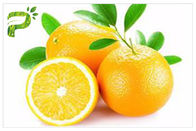 Chiết xuất chống nấm / vi khuẩn cam Citrus Aurantium Extract Sinensis Hesperidin CAS 520 26 2