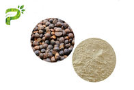 Thành phần mỹ phẩm tự nhiên Camellia Oleifera Abel Seed Extract Tea Saponins For Emulsifier