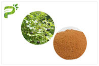 Cải thiện hệ thống miễn dịch Thực phẩm bổ sung tự nhiên Siberian Ginseng Eleutherococcus Powder