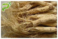 Ginsenosides Thành phần chiết xuất từ ​​bột thảo dược Panax Ginseng để bổ sung chế độ ăn uống