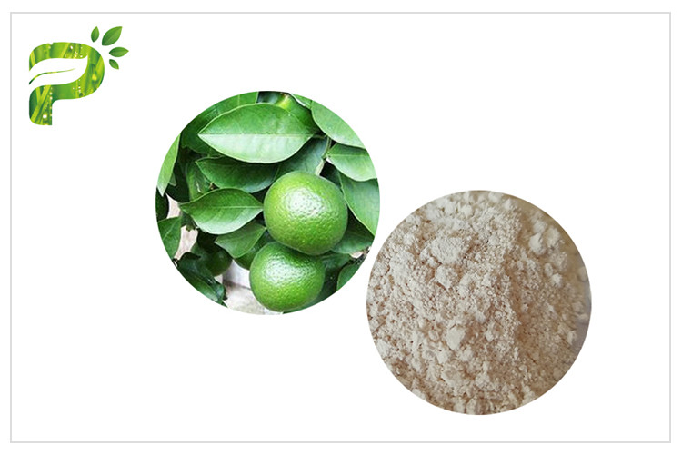 CAS 94 07 5 Chiết xuất cam đắng Synephrine Citrus Aurantium Extract