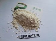 Chống oxy hóa tự nhiên Trans Resveratrol 98, 99% bột từ gốc của Giant Knotweed