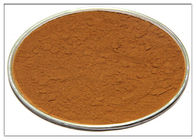Chất chiết xuất chất chống oxy hoá Rosemary, Rosemary Extract Powder CAS 20283 95 5