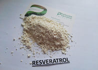 Chống lão hóa 99% Giant Knotweed Extract, Trans Resveratrol Chất bổ sung Màu trắng