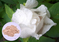 Peony Root Nhà máy Chiết xuất bột Paeonia Lactiflora Làm trắng da