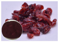 Chống oxy hóa PACs Cranberry Pure Extract Cho chế độ ăn uống bổ sung Xét nghiệm tia cực tím