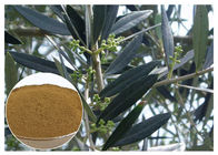 Hydroxytyrosol Chất Chiết xuất Lá Olive cho Huyết áp cao CAS 10597 60 1