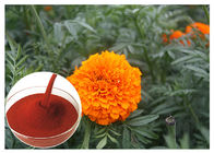 Tagetes Erecta hoa Tự nhiên Chiết xuất hoa bột Ngăn ngừa Sức khoẻ Mắt