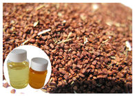 Hạ lượng mỡ trong dầu Oenothera Biennis, dầu Evening Primrose Dầu Gamma Linolenic Acid 10%