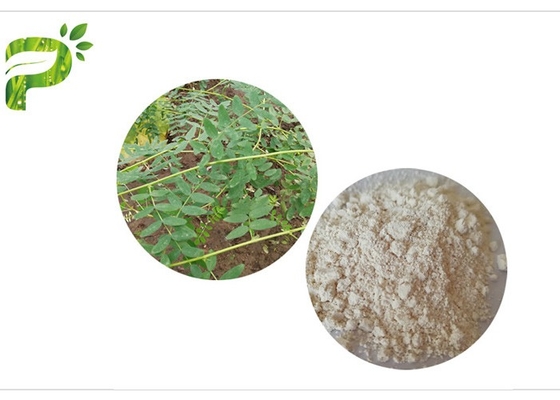 CAS 84687 43 4 Astragalus Membranaceus chiết xuất Astragaloside IV 98% chống lão hóa