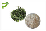 Tự nhiên chống oxy hóa EGCG Chiết xuất trà xanh chống ung thư bột CAS 989 51 5