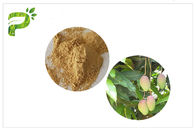 Thành phần mỹ phẩm Mango Leaf Extract Skin Mangiferin Điều trị mụn HPLC Phương pháp thử
