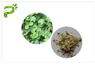 Thành phần mỹ phẩm dạng bột tự nhiên Acne Gotu Kola Leaf Extract Asiaticoside Triterpenes