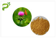 Light Yellow Plant Extract Powder Thành phần tự nhiên Sữa cây chiết xuất từ ​​cây cho gan