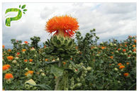 Safflower Seed Oil Chiết xuất thực vật tự nhiên Lớp thực phẩm bổ sung cho chế độ ăn uống