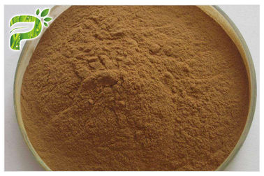Brown Yellow Fine Powder Ginseng Root Extract 20 ((R) - Ginsenoside Rh2/Rg3 Kháng ung thư