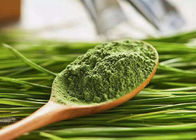 100 Lưới Green Health Powder Bột lúa mạch Bột cỏ để bổ sung thực phẩm