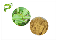 2.0ppm 60 Mesh Green Health Powder HPLC với Polyphenol trà cao hơn