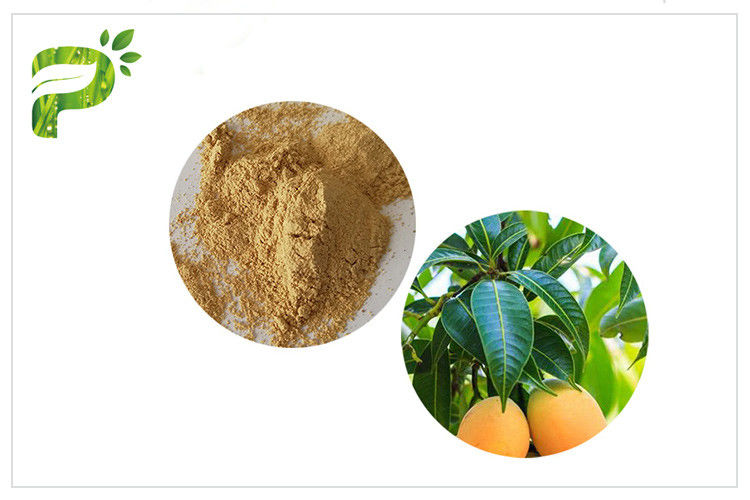 Chất chiết xuất từ ​​thực vật chống vi khuẩn Mangiferin Bột lá xoài CAS 4773 96 0