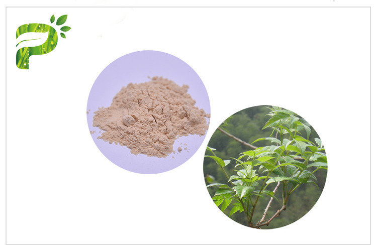 Ampelopsis Grossedentata Extract Dihydromyricetin / DHM cho hội chứng Hangover CAS 27200 12 0