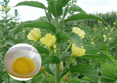 Dầu thực vật hữu cơ PMS Bổ sung dinh dưỡng Dầu Evening Primrose cho viên nang