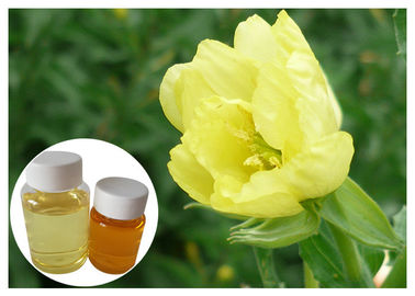 Breast GLA hữu cơ Evening Primrose Oil Từ Thức ăn Seed Grade Dễ Đau
