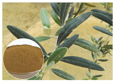 80 Mesh Natural Olive Leaf Extract Powder Hệ Thống Cải Thiện Loại Thực Phẩm