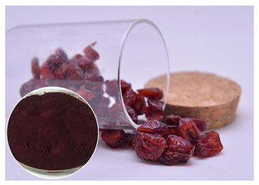 Chiết xuất dưỡng da kháng khuẩn Chiết xuất từ ​​Cranberry
