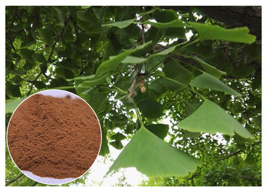Chiết xuất thực vật tự nhiên Ngăn ngừa các bệnh tim mạch Ginkgo Biloba Chiết xuất từ ​​lá EP