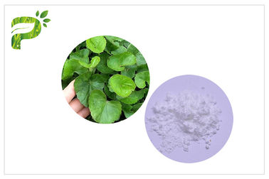 CAS 34540 22 2 Chiết xuất Centella Asiatica, Chiết xuất Madecassoside Gotu Kola