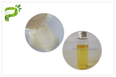 Bột màu trắng chống oxy hóa Vitamin E Bột Dl-α- Tocopheryl Acetate