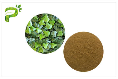 Điều trị ho bổ sung thảo dược nguyên chất Chiết xuất từ ​​lá Ivy Hedera Helix Hederacoside 10%